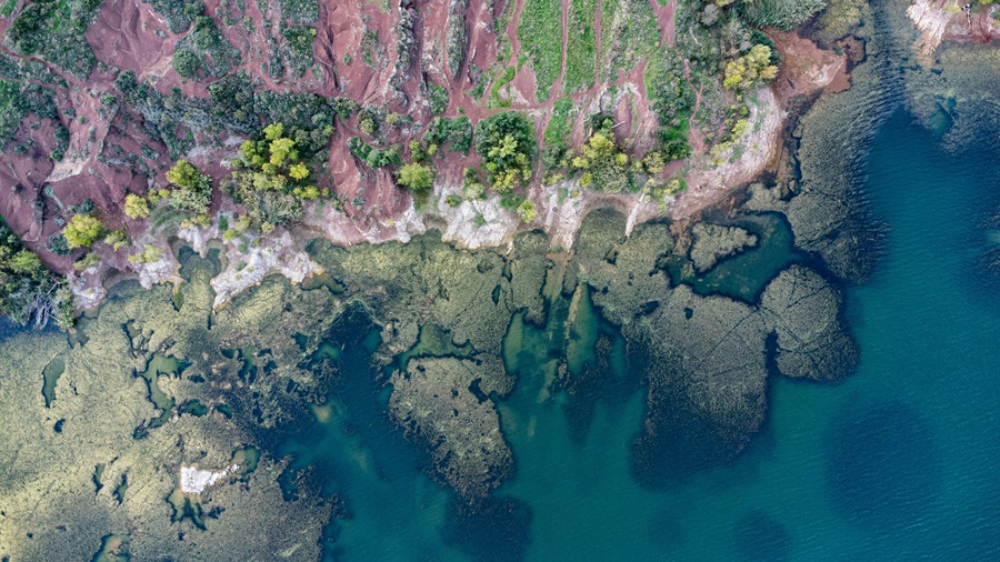 Red soil, green vegetation, and water make up an aerial view of the Lac du Salagou in France.