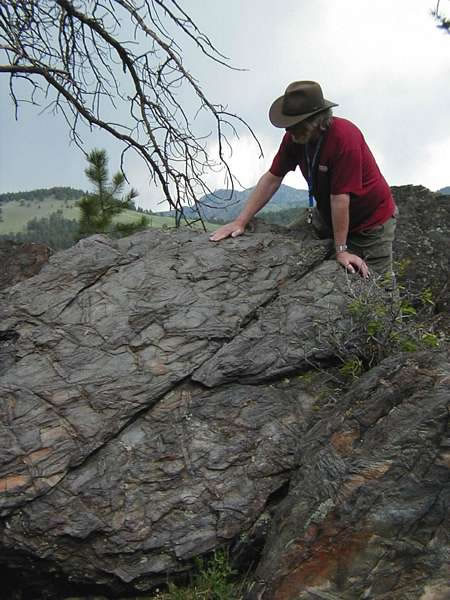 Giant andalusites outcrop