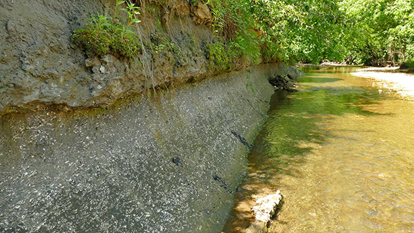 A vertical bank with visible soil layers dips into a a shallow stream.