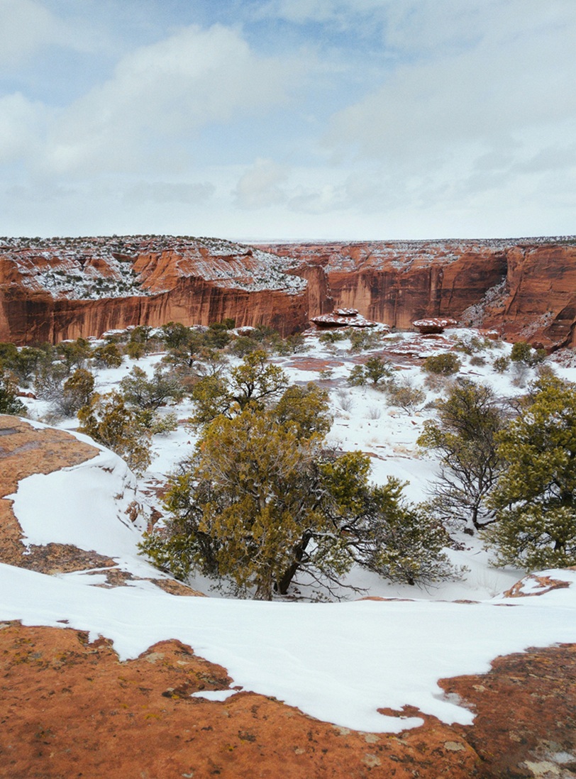 Red and orange rock is partially covered by snow in the foreground. Trees and shrubs are anchored in a snow-covered valley in the midground. Plateaus and their cliff walls are in the background.