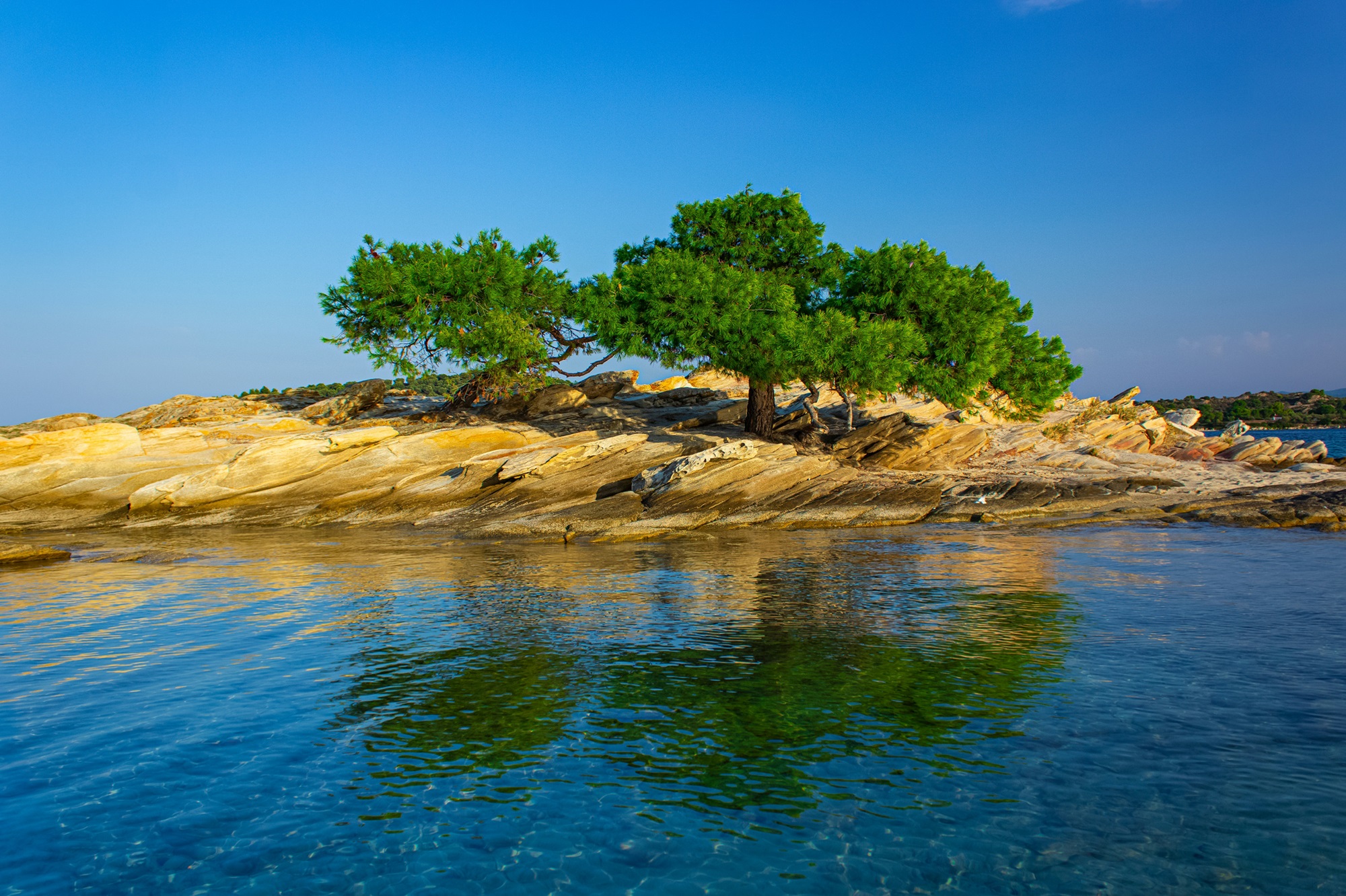 A small, rocky island topped by an evergreen tree is in the blue-green Mediterranean Sea. The sky above is clear and land sits behind the island.